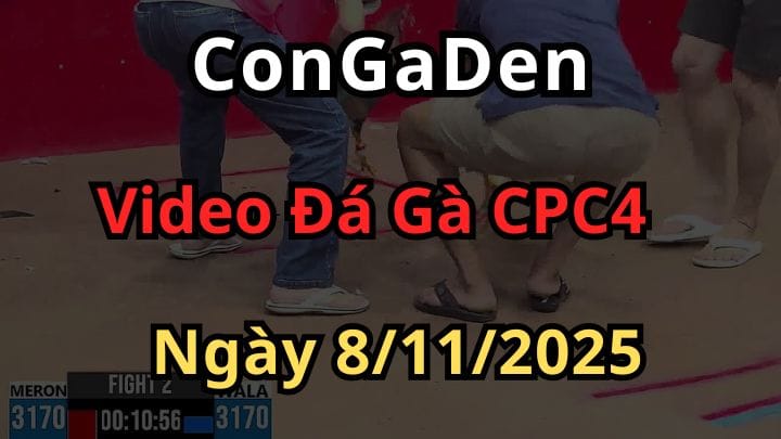 Phát Lại Đá Gà Thomo Trực Tiếp CPC4 ngày 8/11/2025 hôm nay
